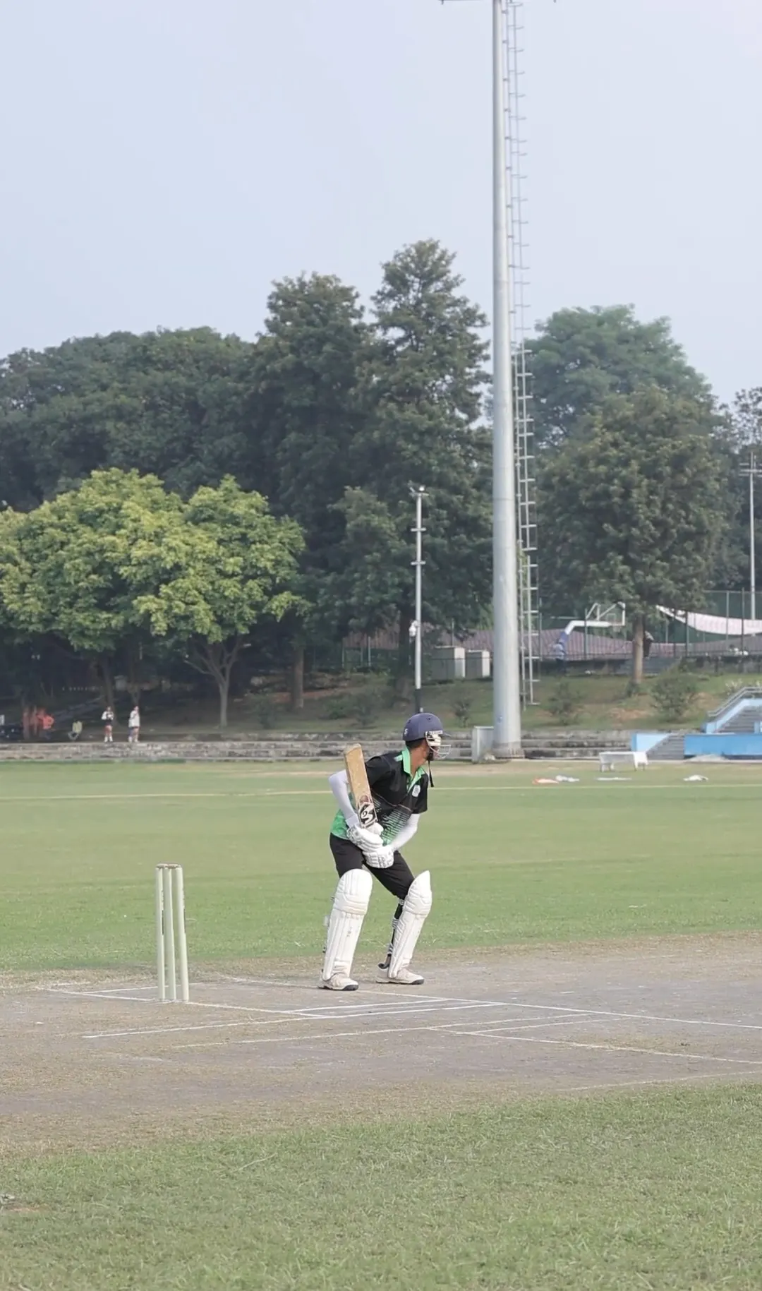 Cricket